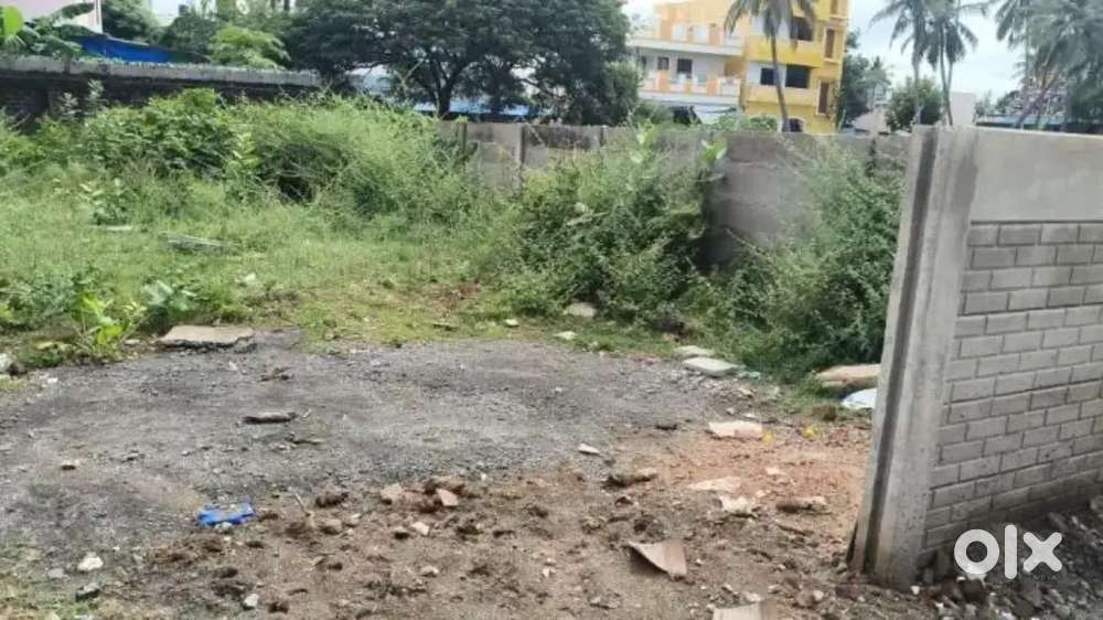 3500rs sp Thengaithittu