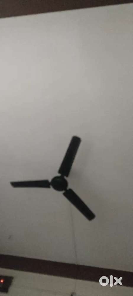 Need female roommate