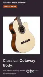 Semi Classical Guitar with Truss Rod & Fishman Pickup Cort AC 100 DXE