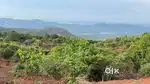 BURI PLOT FOR SALE