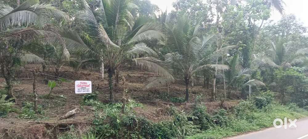 Good place for start new business or make house