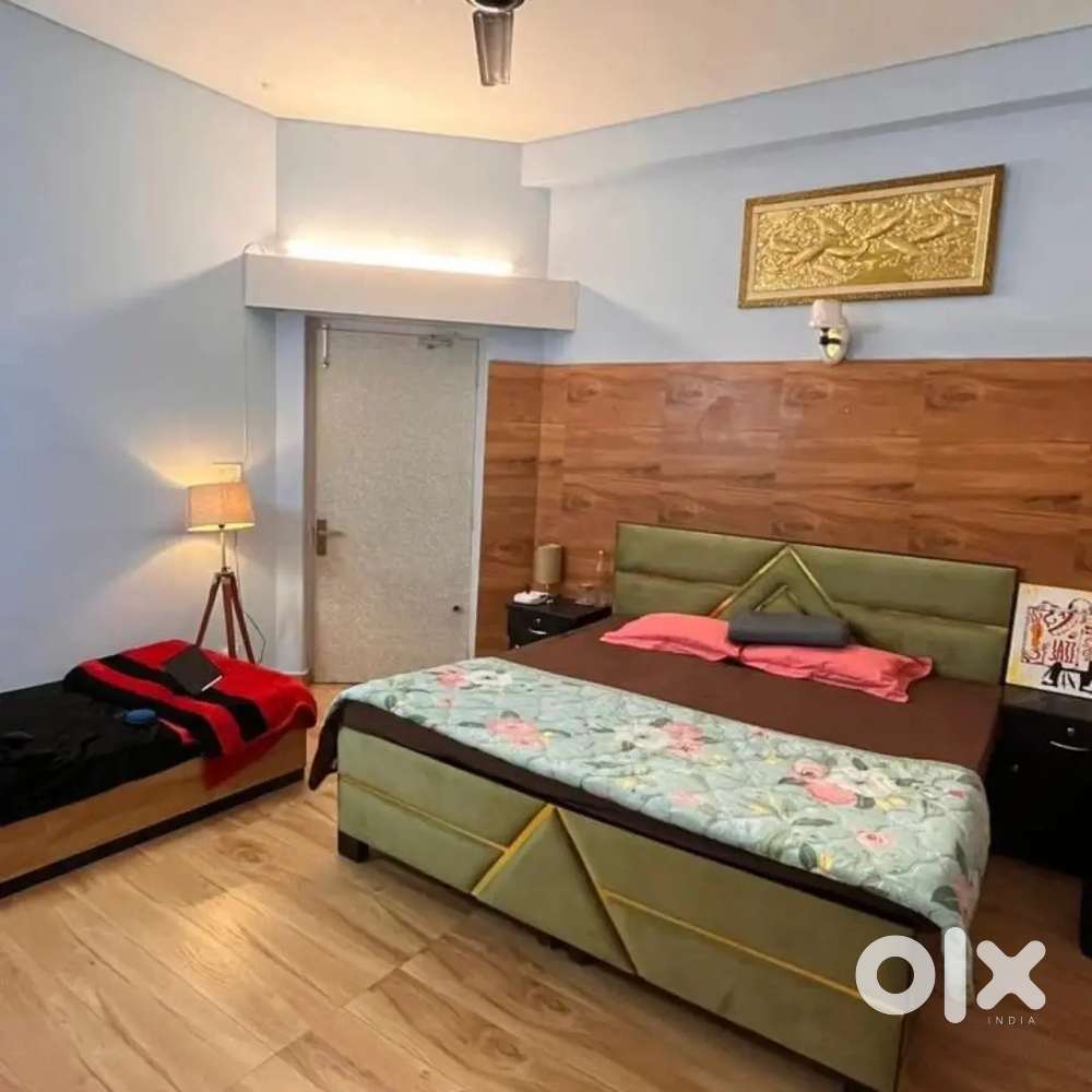 Female flatmate need
