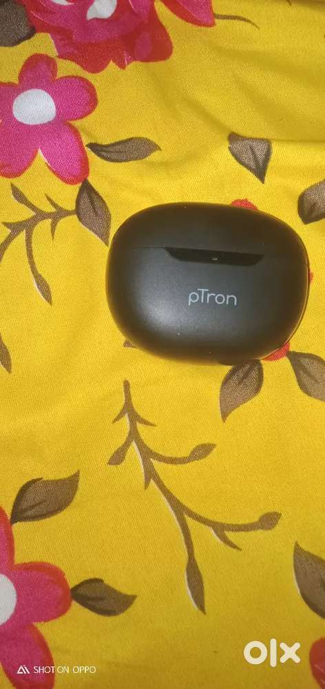 pTron bassbuds astra... With high bass