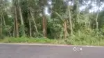 Plot for sale at Balagram Idukki