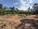 75 സെന്റ് വസ്തു വില്പനയ്ക്ക്