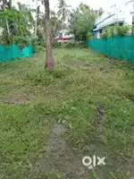 6 cent property