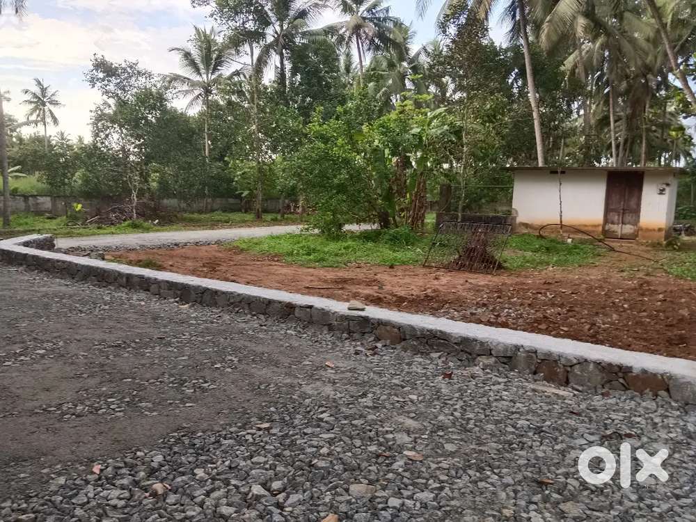VARADIYAM 4 CENT , 5 CENT DEVELOPED PLOTS FOR SALE