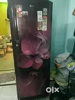 LG  REFRIGERATOR  190 LTR.
