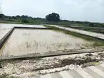 Corner plot at Outer ring road (Kisan path)& Kanpur road