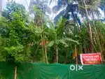 ഹൌസ് പ്ലോട്ട്