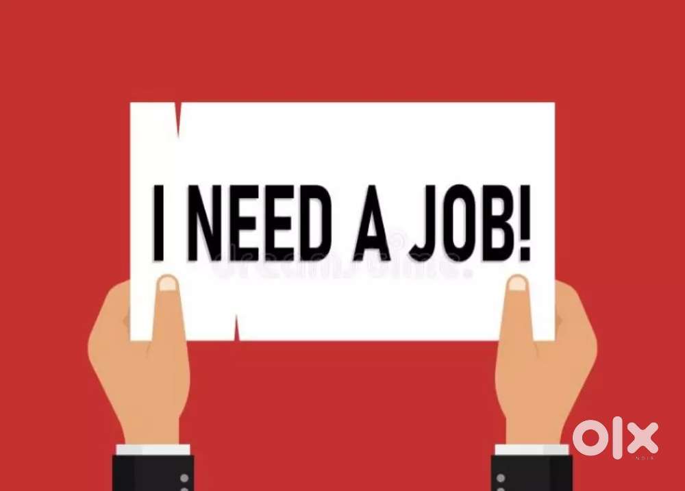 I need job