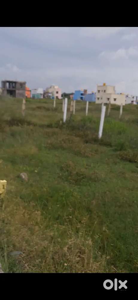 Plot sale in padappai serpanacherry