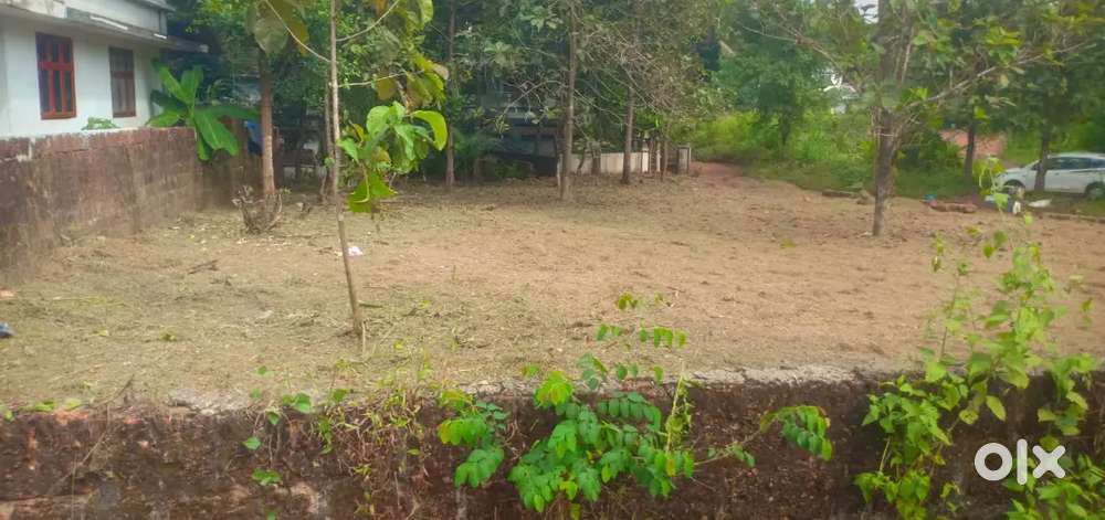 19 cent Ezhilode pilathara