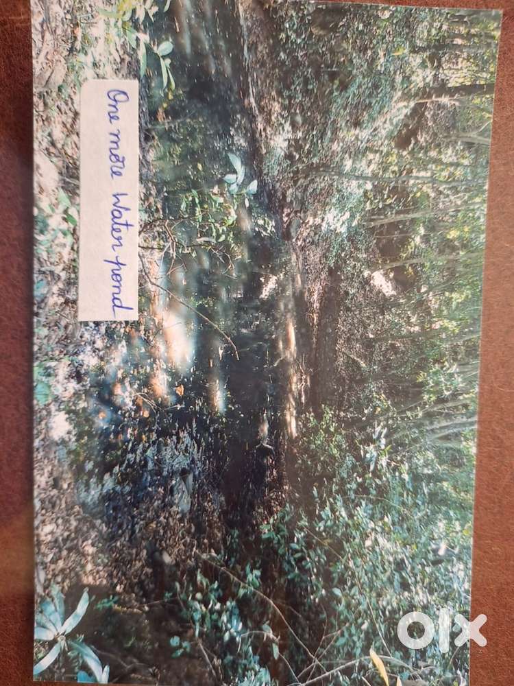 Land for sale in Kannada District