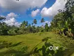60 cent land (വഴി ഉൾപ്പെടുന്നതാണ്) for urgent sale