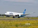 IndiGo Airlines Now Recruiting: Ground Staff, CSA, AOCS & Driver Jobs