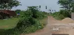 Gudivada to Vijayawada road Manikonda(V) in 134 sq.ads open plot Sale