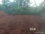 Plot sale of 5 cent