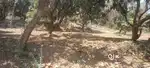 NH 48 to only 400 mt Agriculture property on reasonable rate