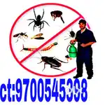 Quality pest control service