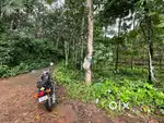 പുനലൂർ മുവാറ്റുപുഴ ഹൈവേക്കു 1.5 KM അടുത്ത് 1 ഏക്കർ റബ്ബർ തോട്ടം,