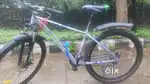 FIREFOX Tremor X 29 D Mountain Cycle (21 Gear, Grey)
