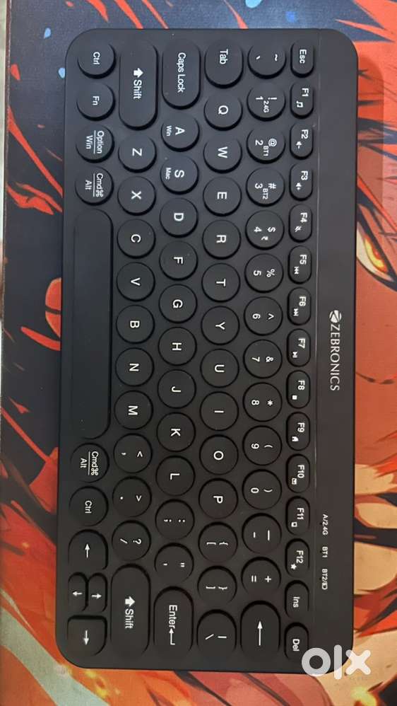 Zebronics keyboard