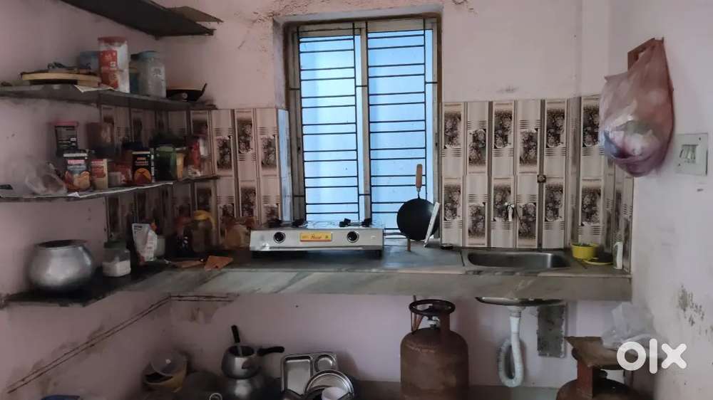 Needed 1 girl roommate