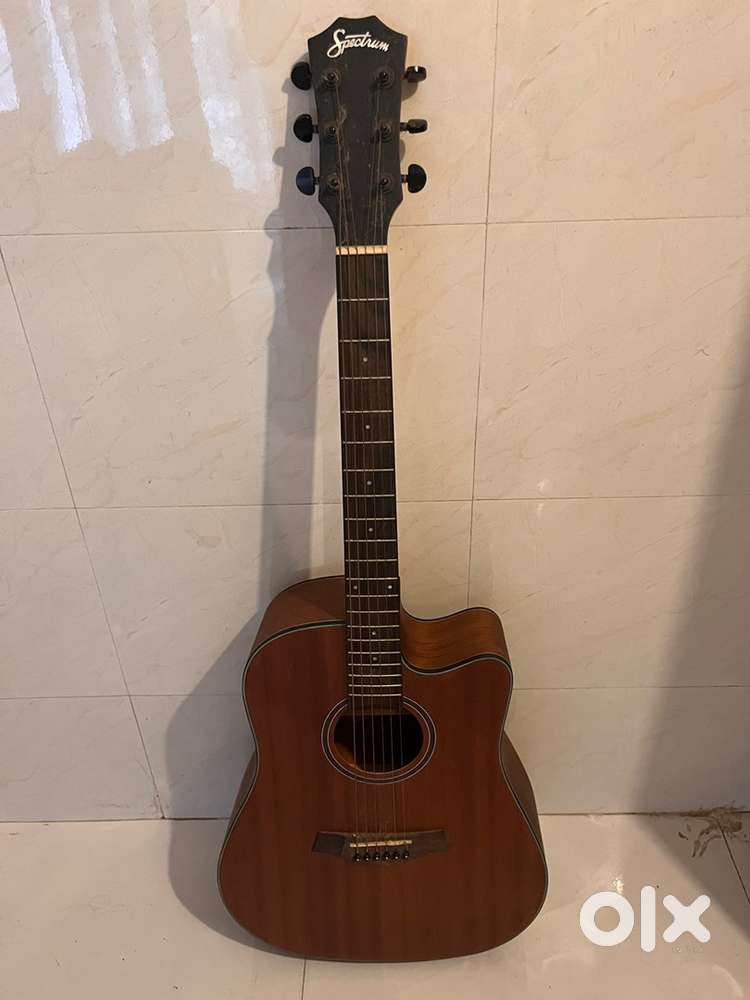 Spectrum acoustic guitar
