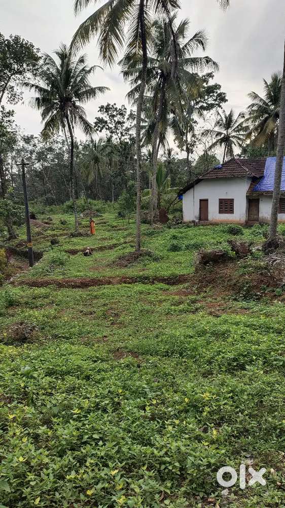 25 Cent plot for sale