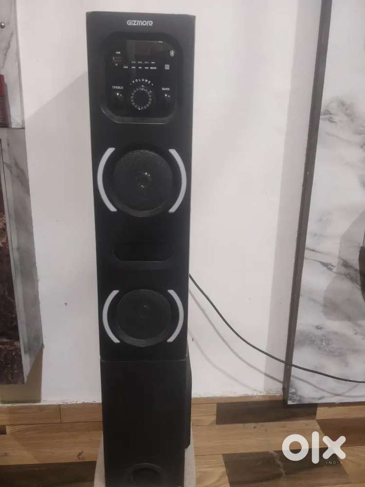 Gizmore tallboy speaker with mike