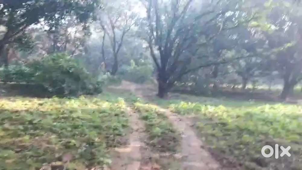 कृषि वाले जमीन एक बीघा बिकाऊ है रोड से लगा हुए BKT के पास मे w