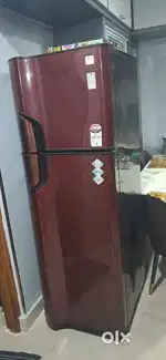 double door fridge