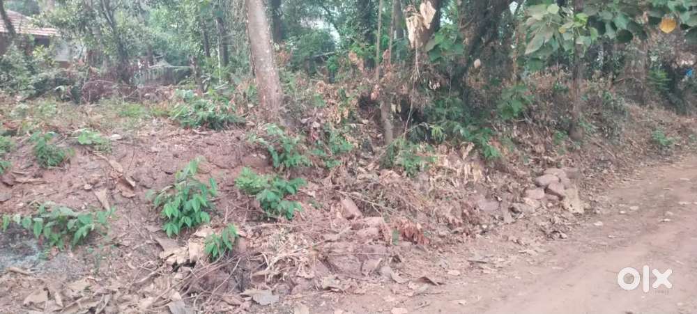 Kottali, Arrayambath, Residential Area, 150 MTRS away from bus stop.