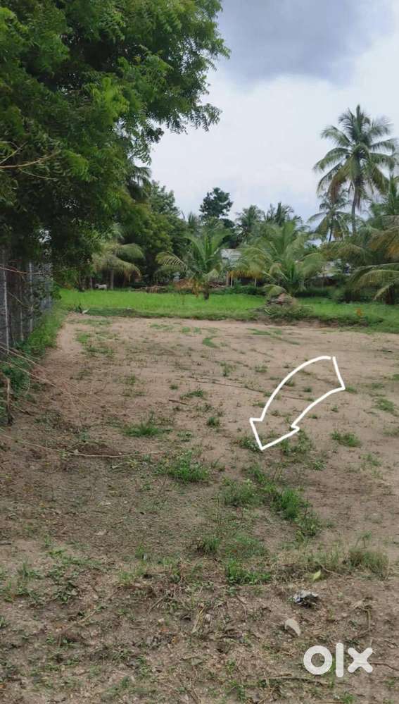 Nature & Beautiful place