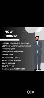 Sales executive