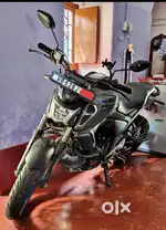 Fzs v4 2 years old