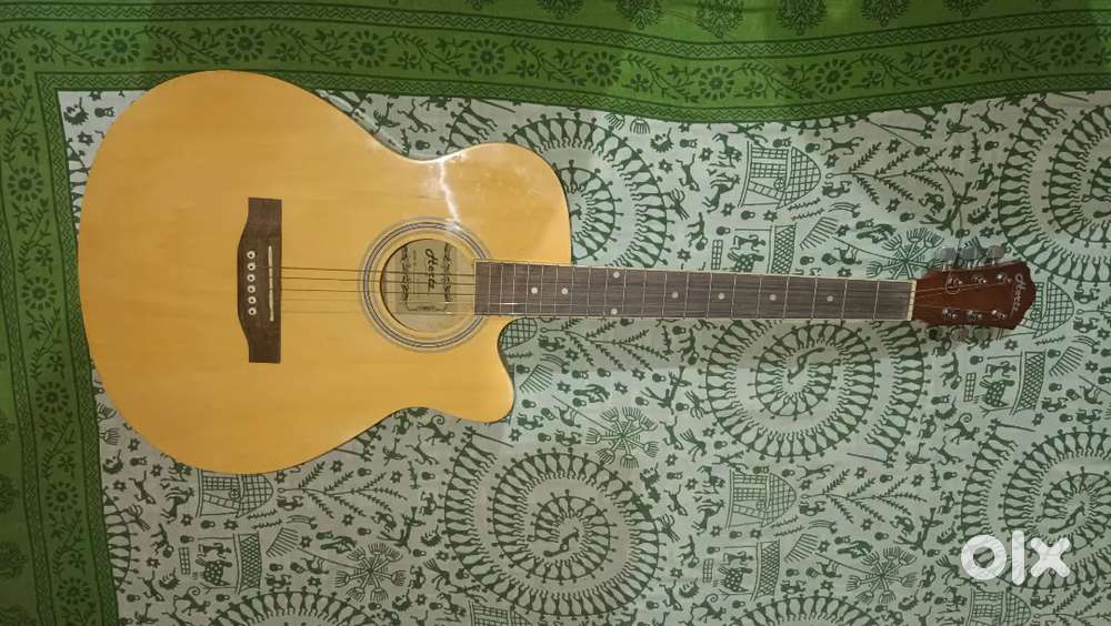 Hertz guitar new
