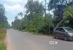 മീനങ്ങാടിയിൽ ഹൈവേ സൈഡിൽ 9 സെൻ്റ് കൊമേഴ്സ്യൽ പ്ലോട്ട് വിൽപ്പനയ്ക്ക്