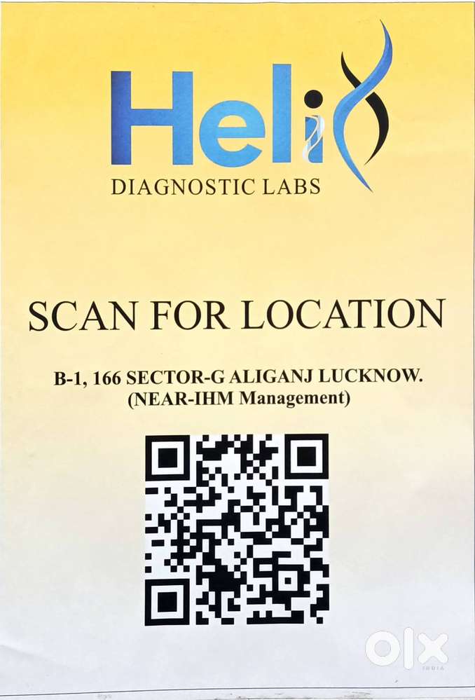 BACK OFFICE CUM ACCOUNTANT