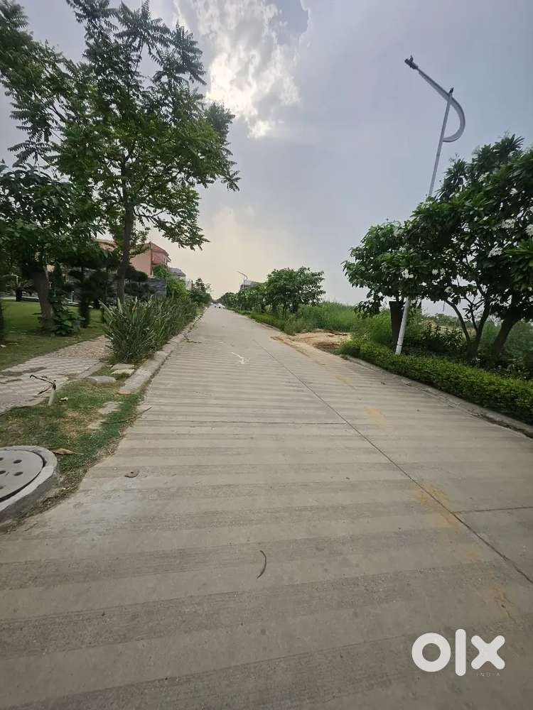 300 Sqyards Plot For Sale in Omaxe Phase 2 New Chandigarh