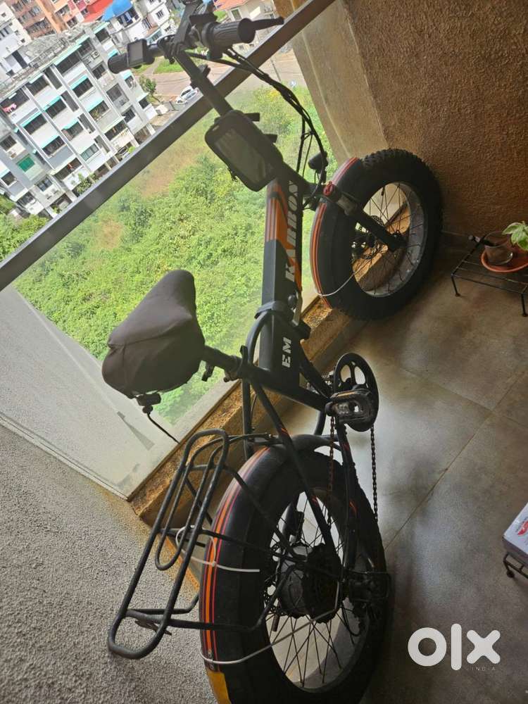 Electric Cylce E Motorad Karbon(Doodle)