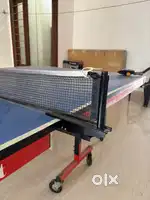Table Tennis