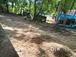 5 cent land for sale