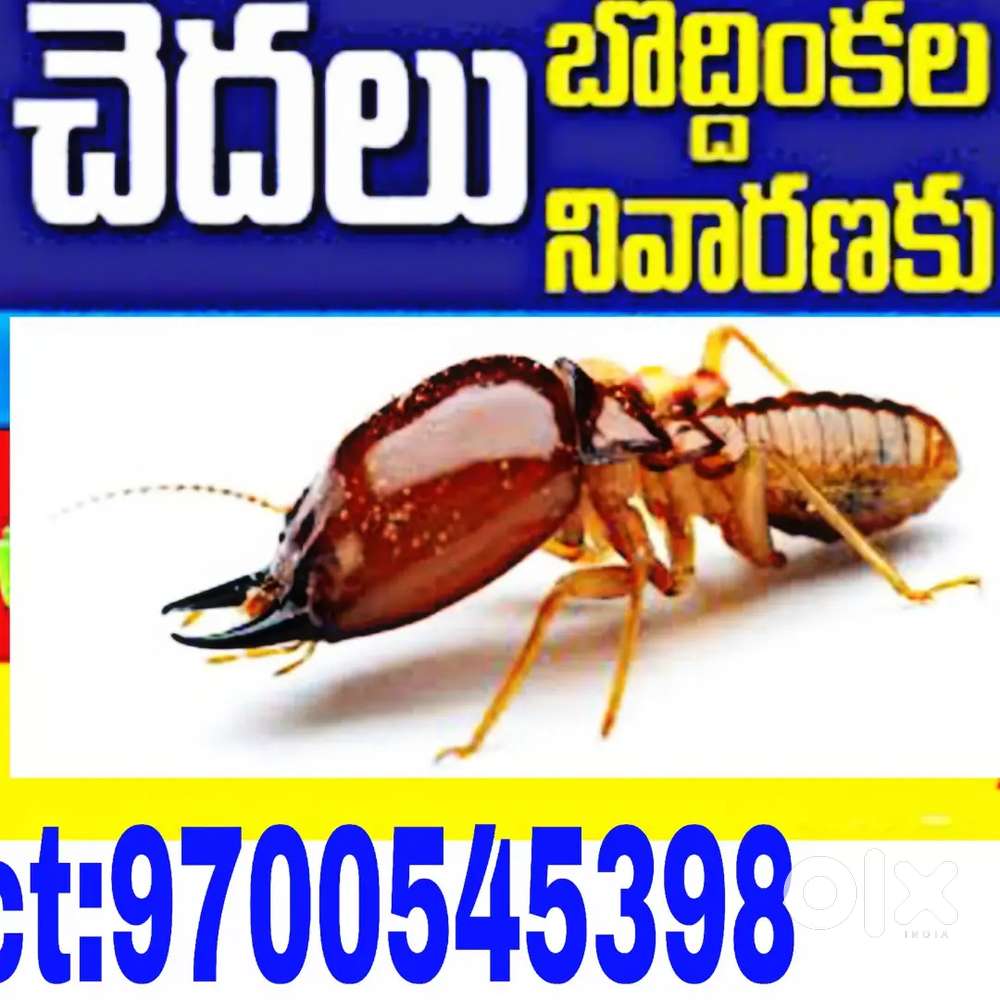 Hygiene pest control