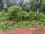 The land is next to vengery town