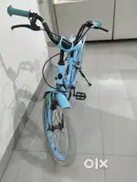 Beetle Panache 20T Kids Cycle