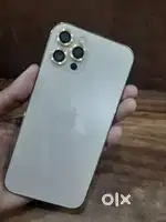 iPhone 12 pro  used model and genuine price in your budget
