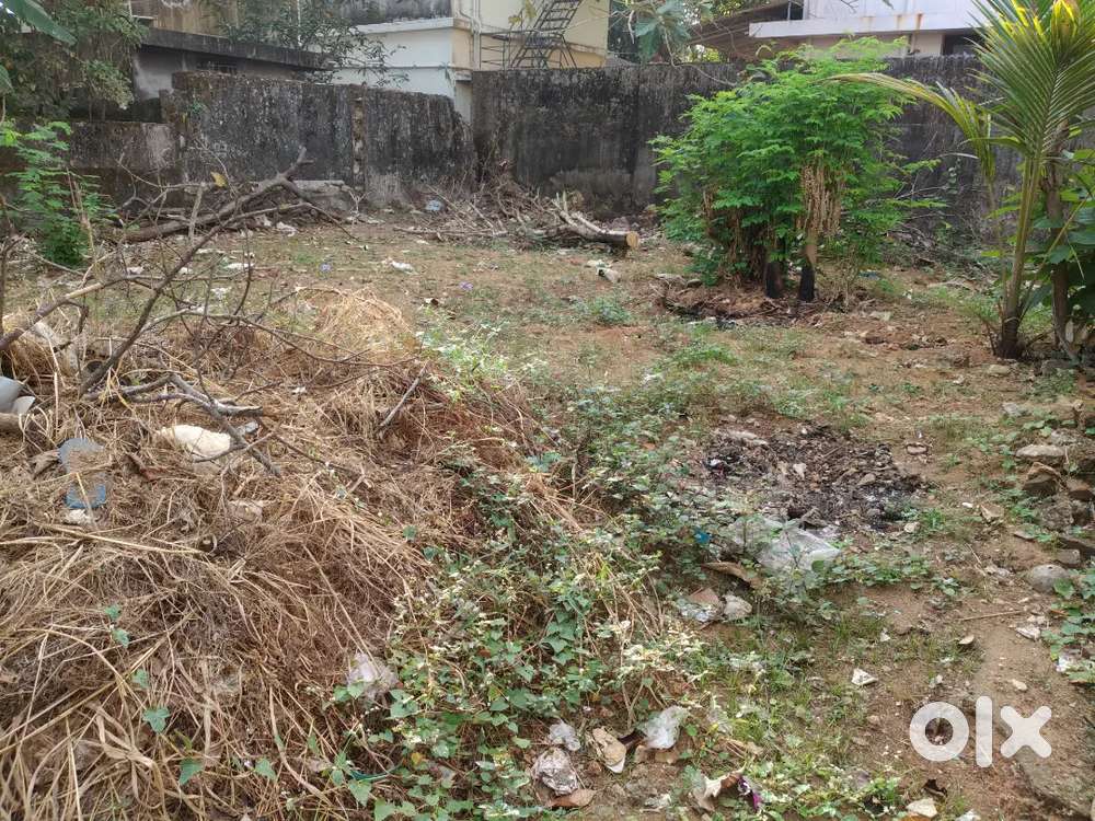 Kadapppakada near Junction  5,500 Cent per Cent 1,250000