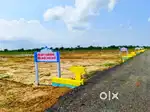 Investment Plot for sale @ Ponneri